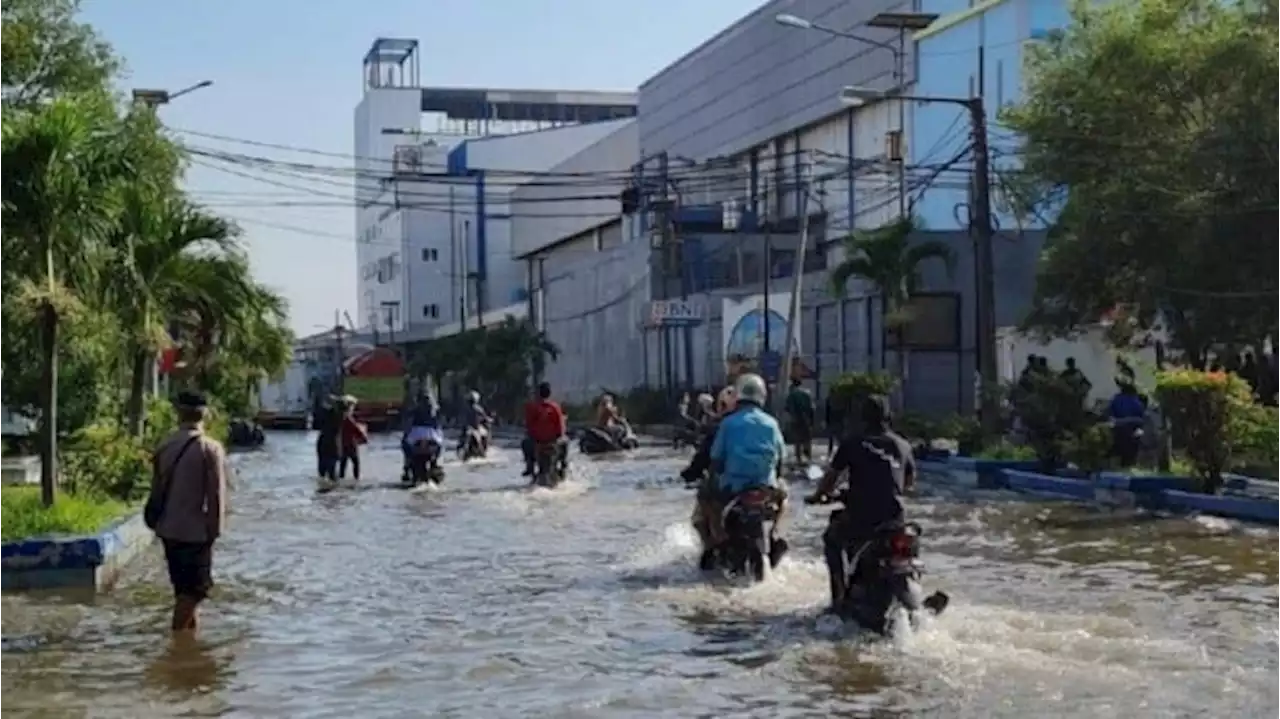 PDIP Desak Heru Budi Kebut Pengerjaan Tanggul Atas Banjir Rob Jakarta