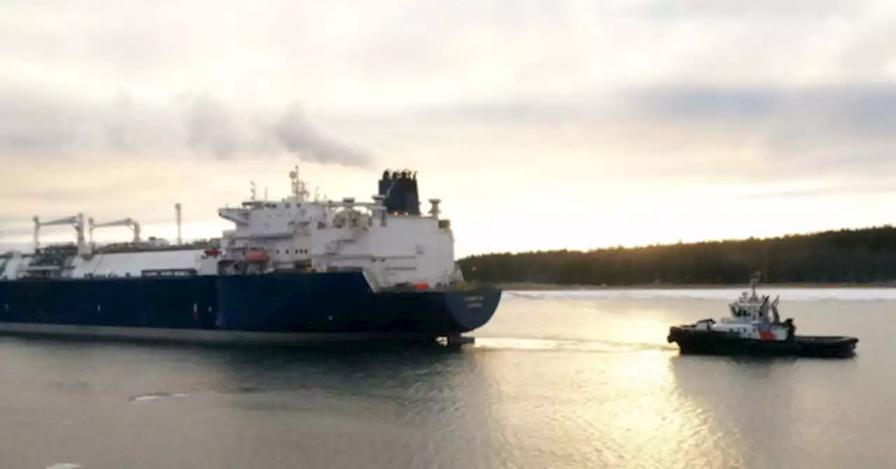 Finland Gets Floating Liquid Natural Gas Terminal to Replace Russian Gas