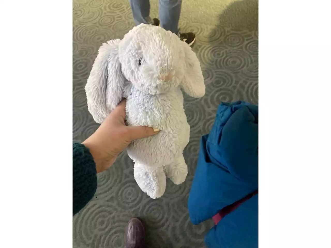 The tale of Bunbun, stranded at Vancouver airport, has a happy ending