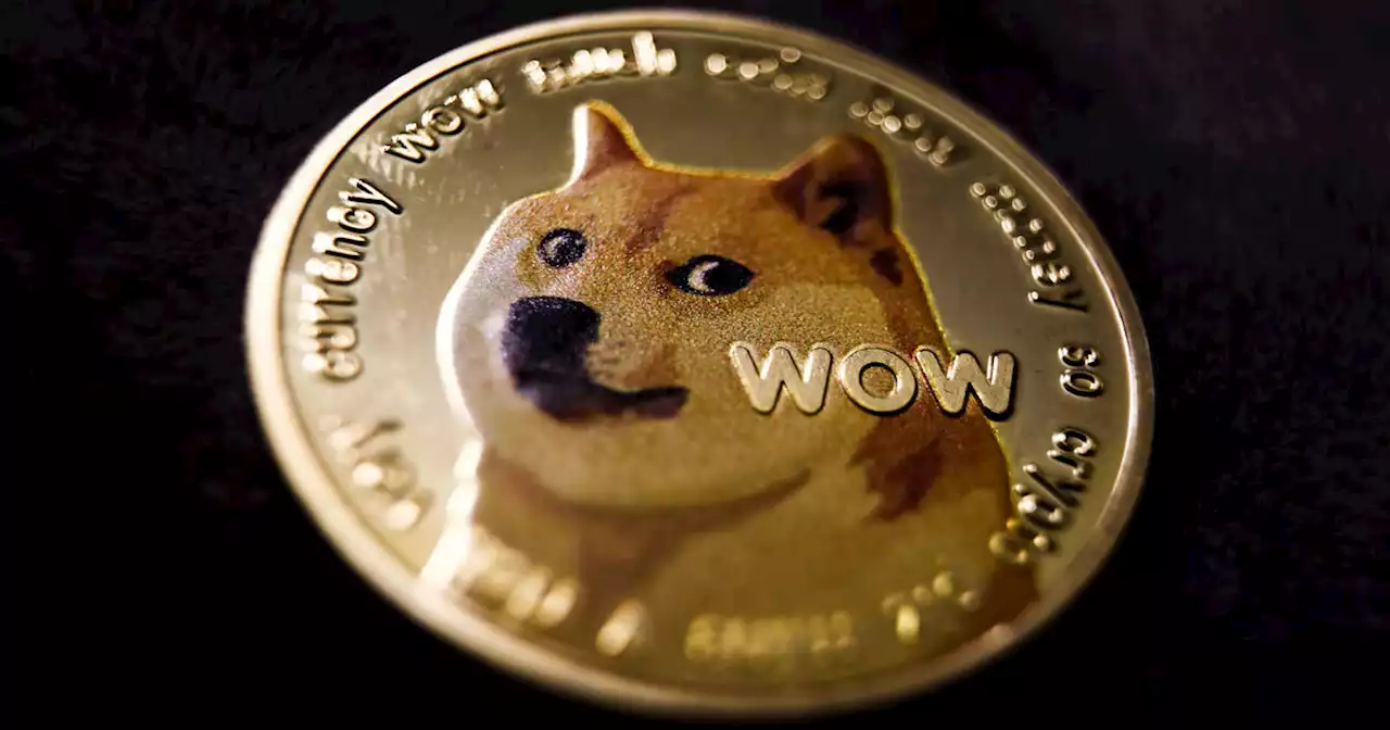 Shiba Inu behind 'Doge' meme diagnosed with cancer and liver disease, owner says