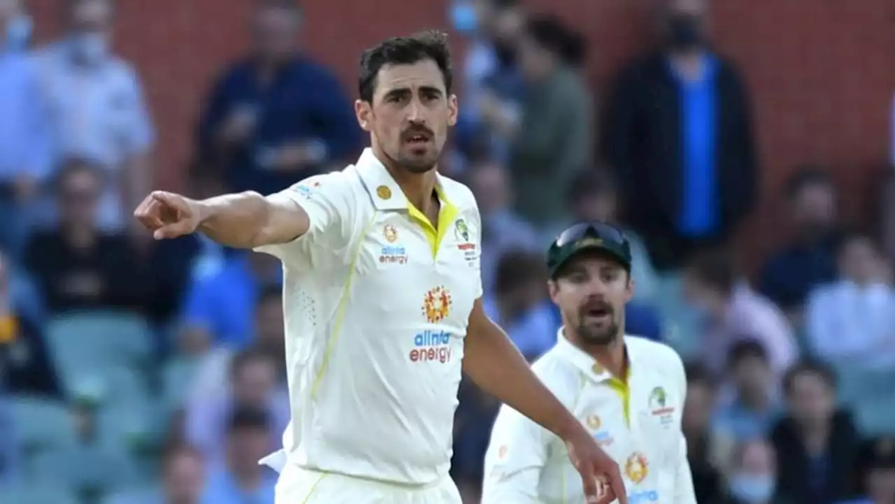Starc threatens De Bruyn with Mankad after batsman crosses the line