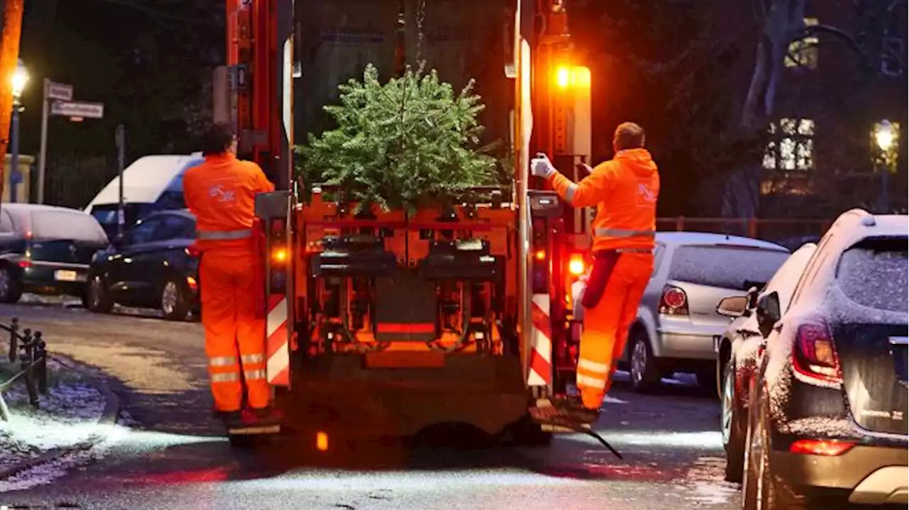 Wohin mit dem Baum nach den Feiertagen?