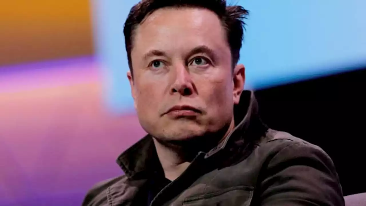 Elon Musk tells Tesla employees don't be 'bothered by stock market craziness'