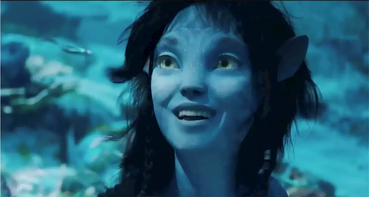 Cinéma : Avatar 2 pourrait devenir le film le plus vu en France en 2022