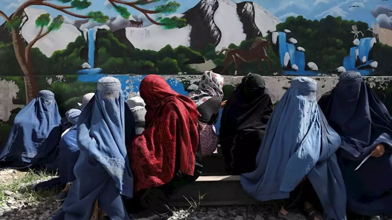 UN halts some aid programs in Afghanistan after Taliban's ban on female NGO workers | CNN