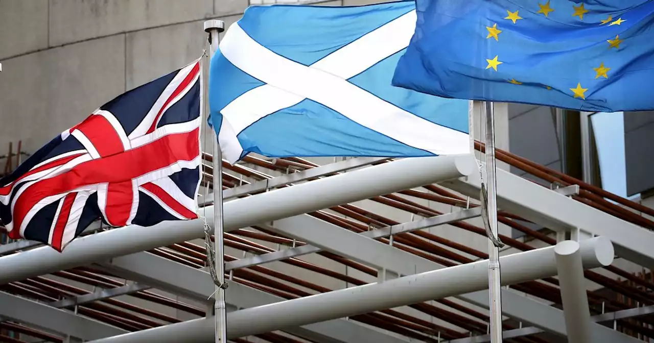 Brexit causing 'untold economic harm to Scotland' warns SNP depute leader