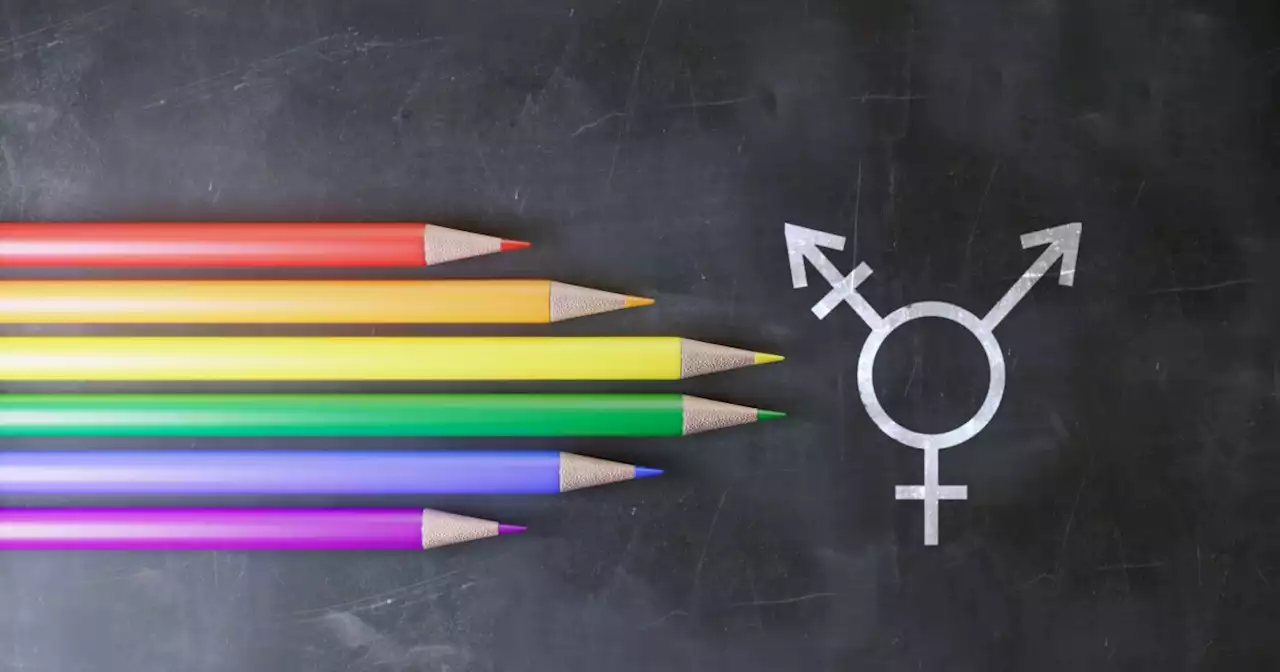 CDC guide directs schools to self-assess LGBT inclusiveness