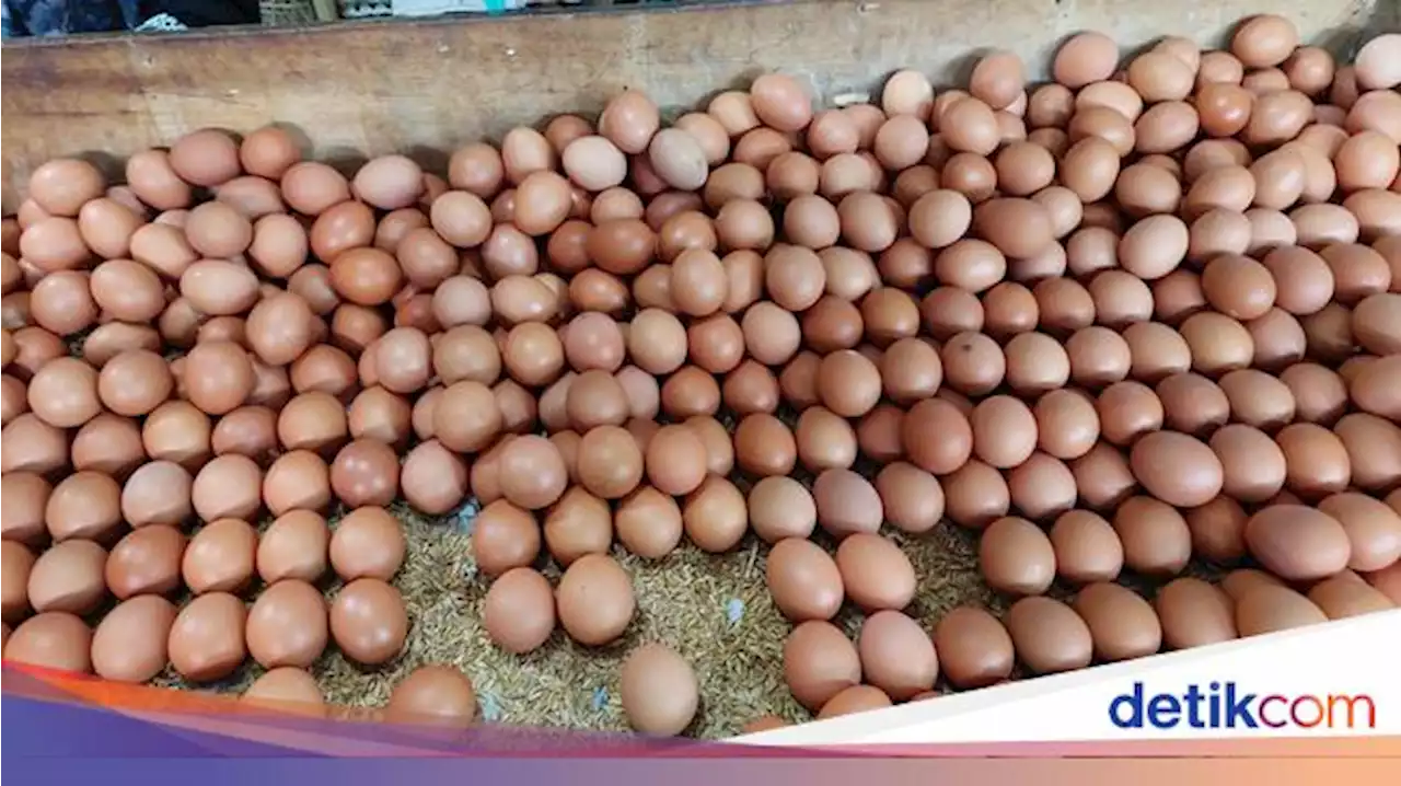 H-3 Tahun Baru, Harga Telur Ayam Akhirnya Turun Jadi Rp 29.000/Kg