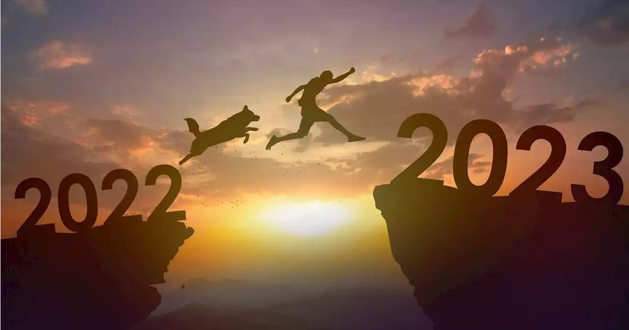 Top 5 pet New Year’s resolutions for 2023