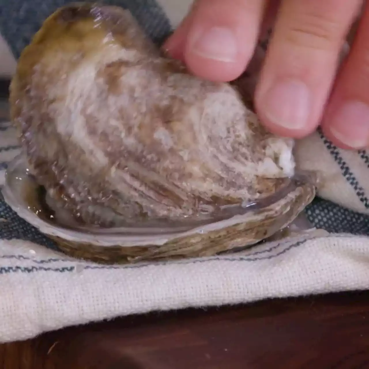 3 Clever Ways to Open an Oyster Without Shucking