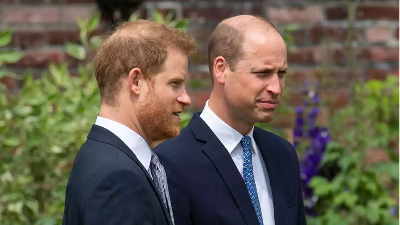 Prinz Harry: Wird er in seinen Memoiren über William auspacken?