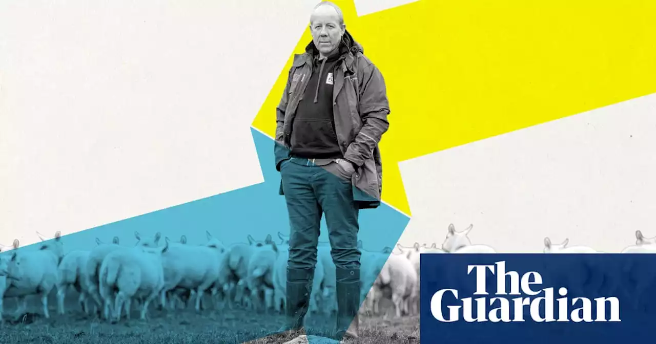 ‘We’re only seeing the negative’: UK farmers on Brexit and losing the common agricultural policy