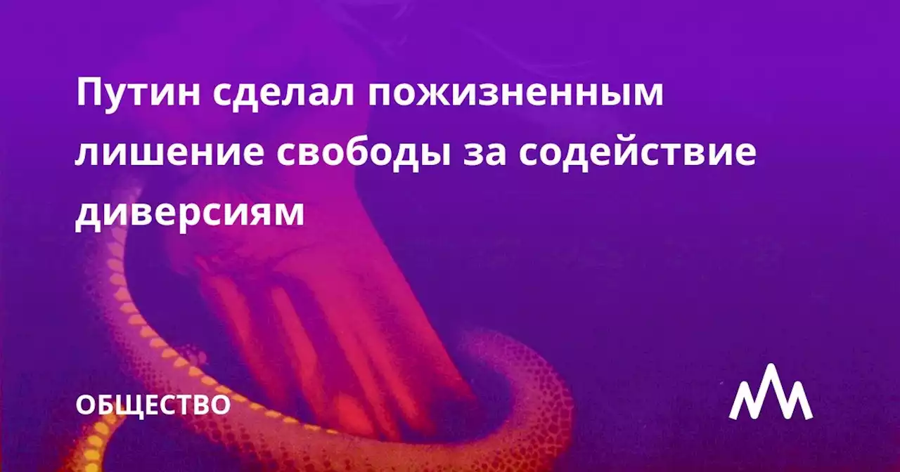 Путин сделал пожизненным лишение свободы за содействие диверсиям