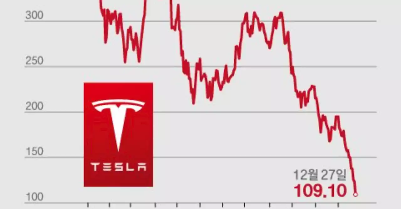 '천슬라' 커녕 '백슬라' 신세…지금이 저가매수 기회일까? | 중앙일보