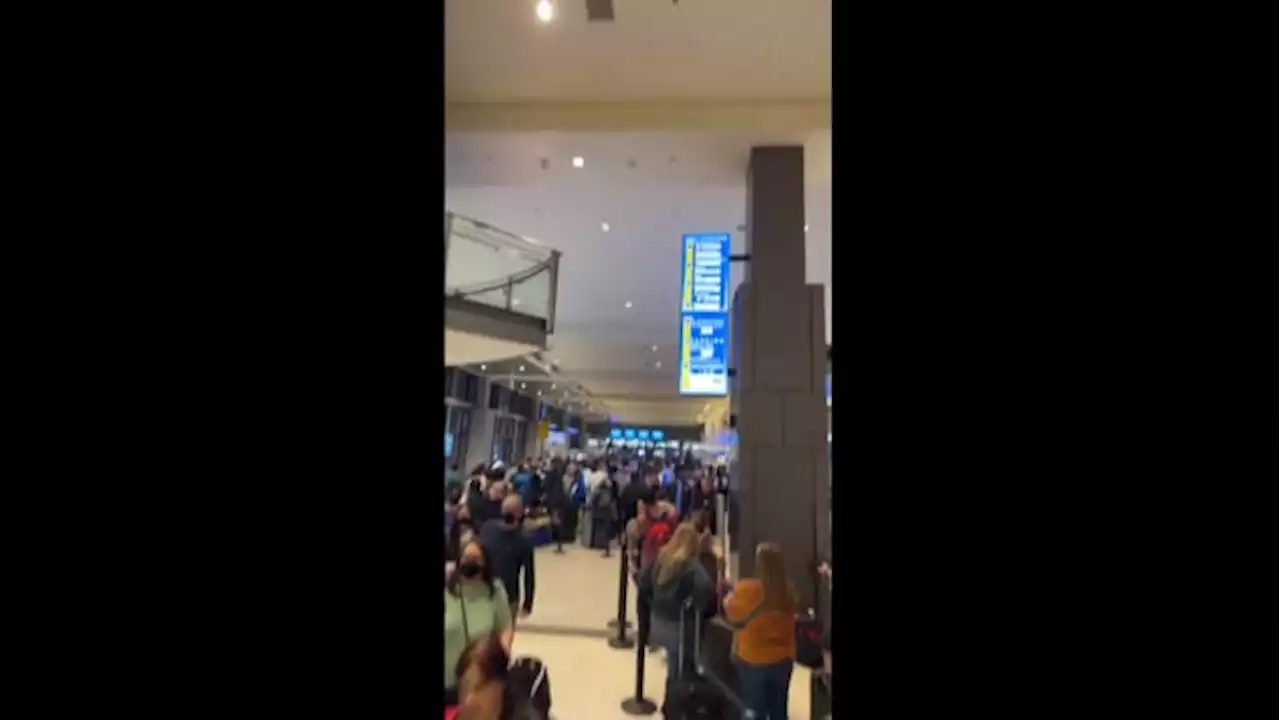 Video shows massive Southwest Airlines customer service line at Texas airport