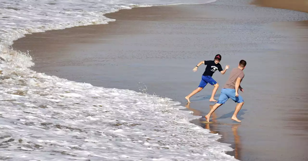 Beachgoers warned of big waves, strong rip currents and high bacteria levels in the water