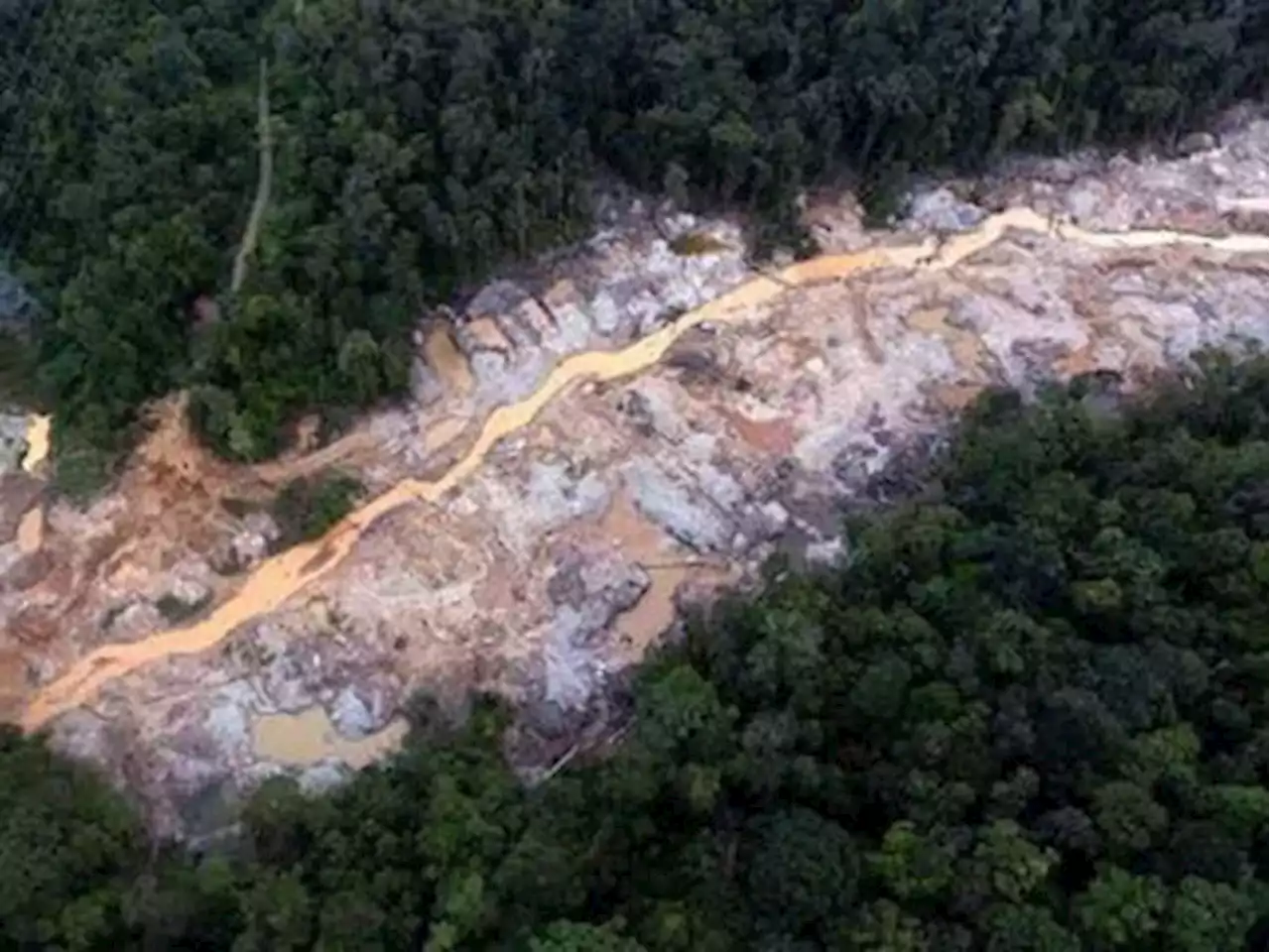 Tambang Emas Ilegal di Pasaman Barat Dirazia Ditkrimsus Polda Sumbar