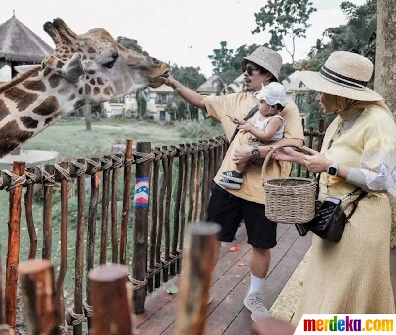 Foto : Lucu dan Menggemaskannya Baby Ameena Bareng Atta dan Aurel Liburan di Bali Zoo | merdeka.com