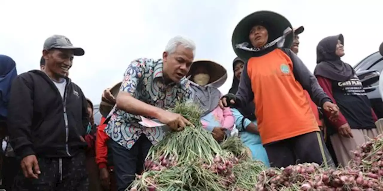 Pengawasan Pangan Segar Terbaik di Indonesia Ada di Jawa Tengah | merdeka.com