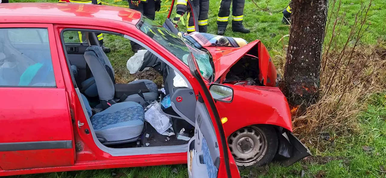 Hamburgerin (83) kracht gegen Baum – schwer verletzt