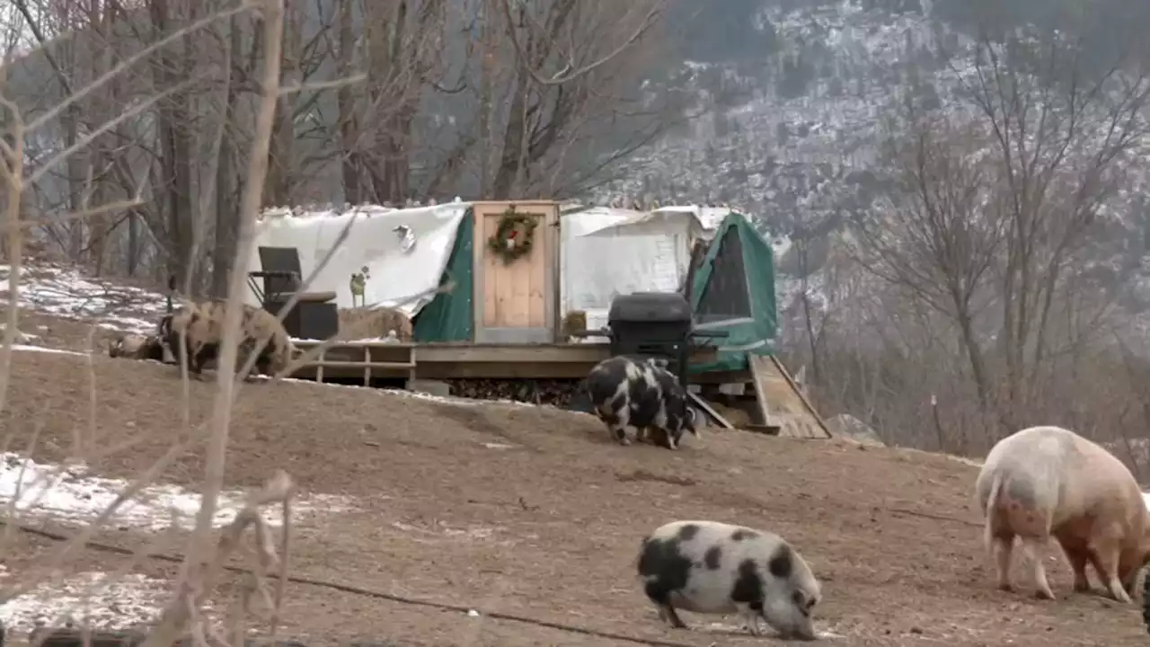 Vt. Animal Sanctuary Recovering From Violent Storm That Damaged Property