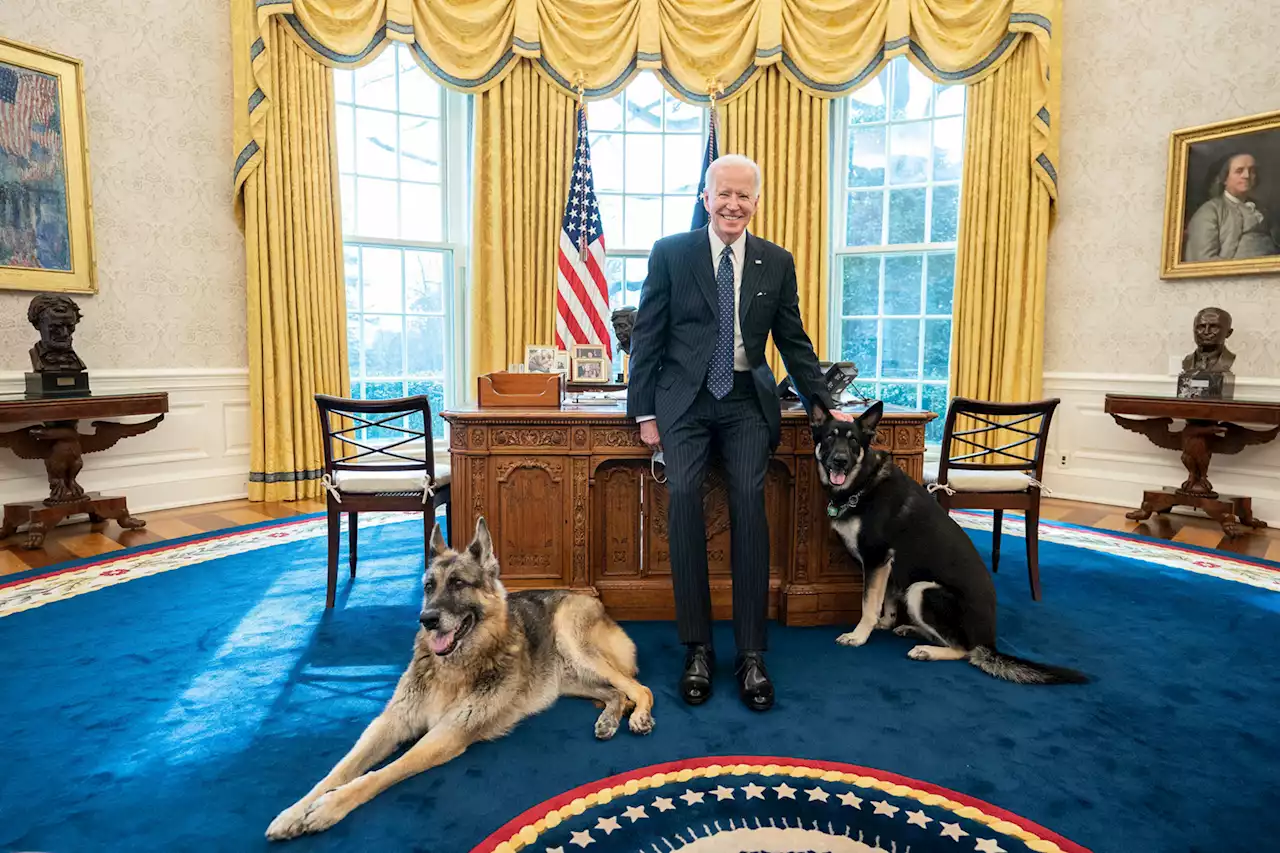 Biden doesn’t trust Secret Service, said agent lied about dog bite: book