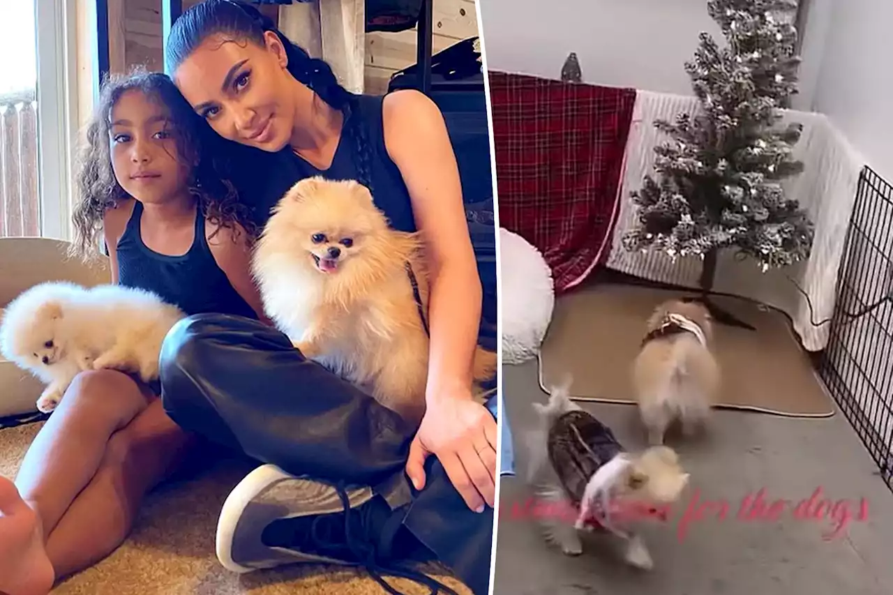 PETA ‘hoping hard’ Kim Kardashian isn’t keeping her dogs in the garage