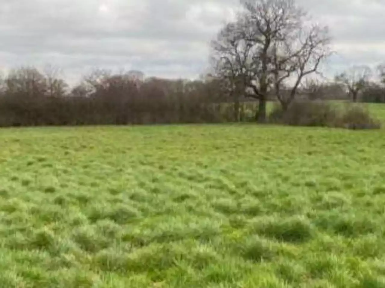 Plans lodged to build slurry lagoon at farm near Shrewsbury