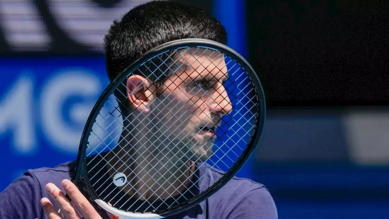 People&#8217;s anger towards Novak Djokovic was ‘misdirected’: Rita Panahi