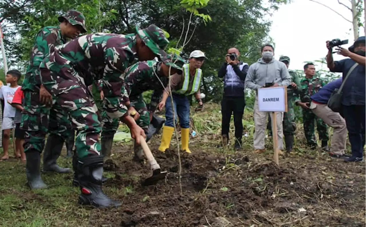 10.000 Pohon Ditanam di 4 Wilayah di Bantaran Bengawan Solo, Termasuk Klaten