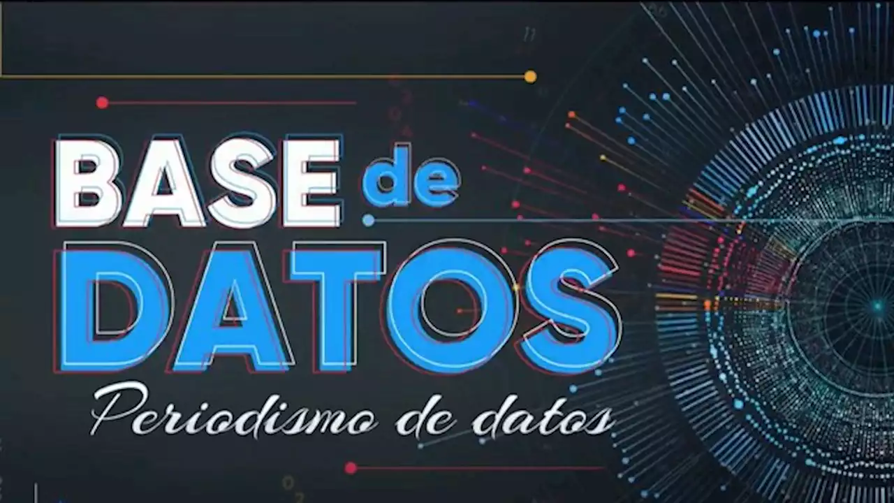 Base de datos: todos los números y estadísticas de los campeones del mundo