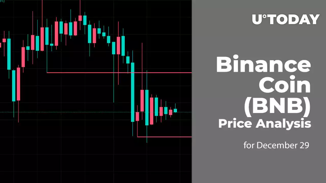 Binance Coin (BNB) Price Analysis for December 29