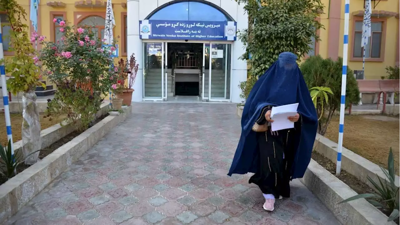 Afghanistan, i diritti negati alle donne: dai parchi proibiti al professore che strappa i suoi diplomi