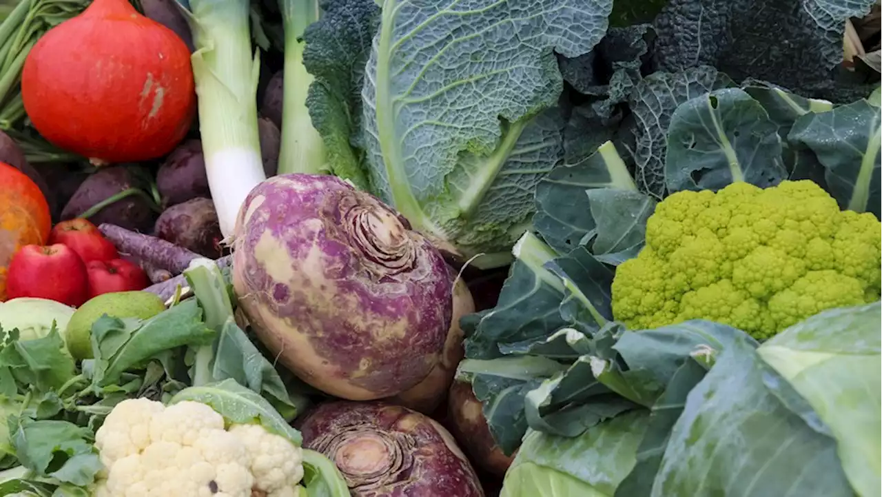 Saisonkalender: Dieses Gemüse und Obst hat im Januar Saison