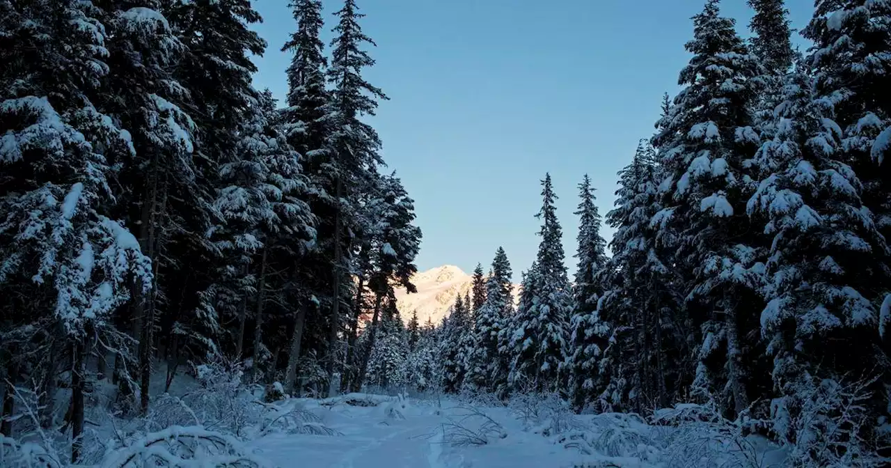 Anchorage Assembly to vote on controversial Girdwood housing development