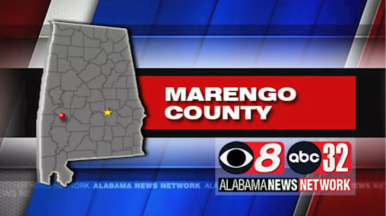 UPDATE: Survey Teams Say a Tornado Hit Marengo County - Alabama News