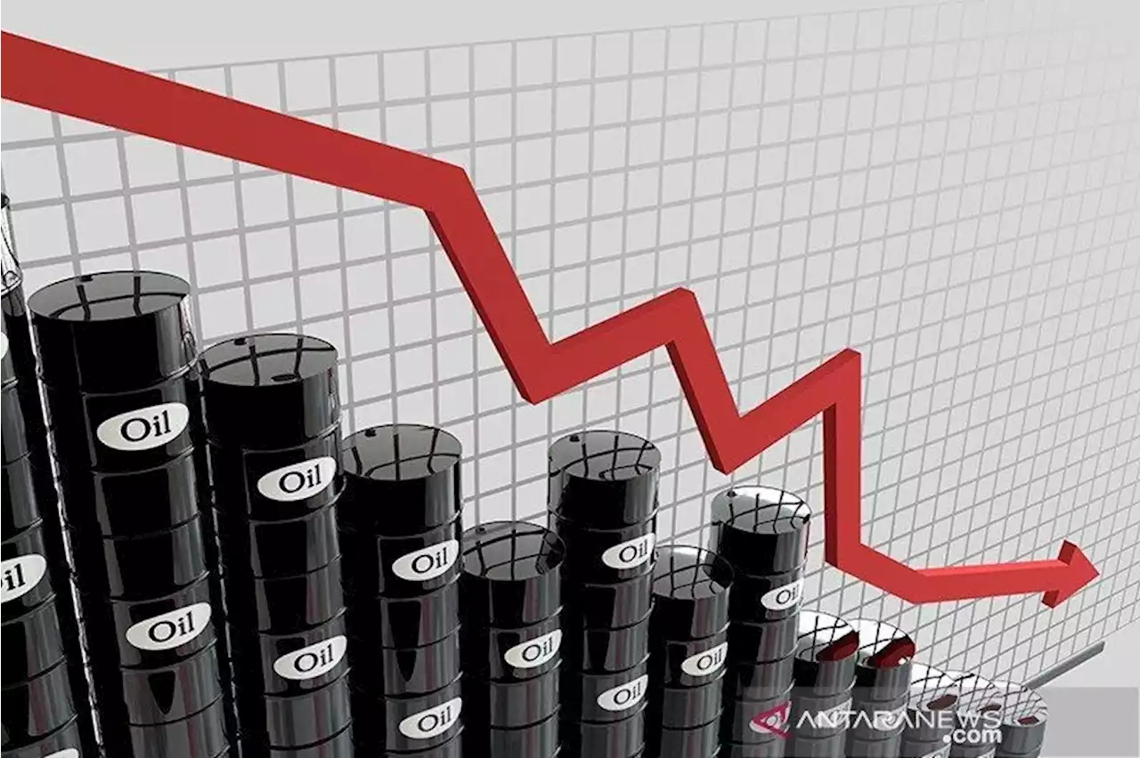 Minyak turun jelang pertemuan OPEC+ dan larangan UE atas minyak Rusia