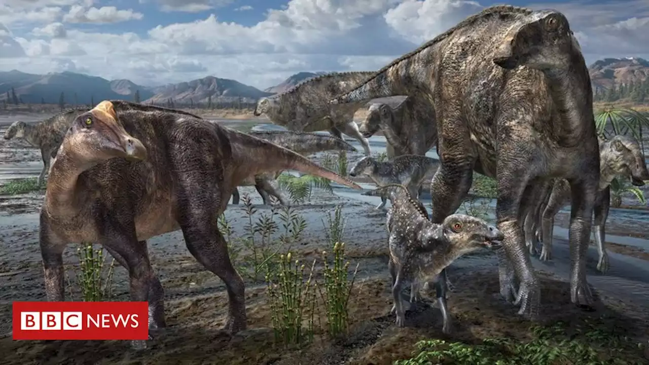 O mistério dos dinossauros polares revelados pela ciência - BBC News Brasil