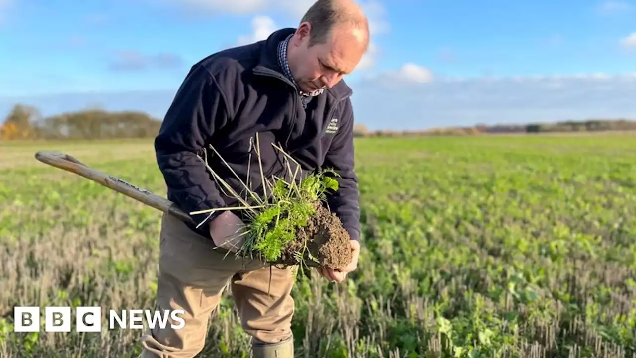 Farming: Delay to post-EU subsidy scheme Elms not acceptable say farmers