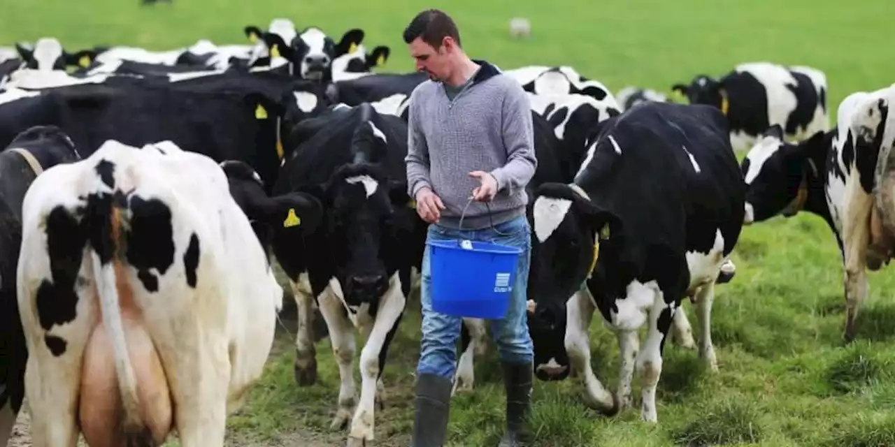 Fürs Klima schlimmer als Fliegen: „Wir essen Lebensmittel aus Plastik“