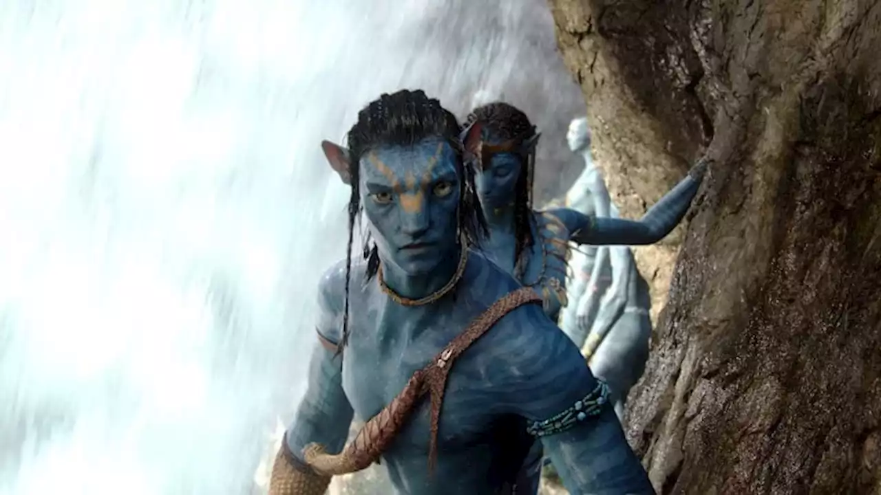 James Cameron Has Avatar 6 & 7 Plans, Would 'Have to Train' Successor