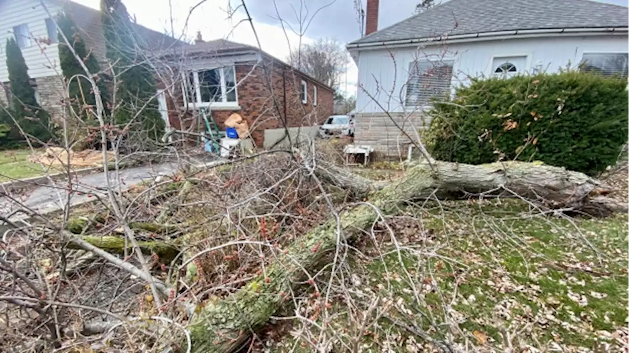 Strong winds cause power outages across the GTA