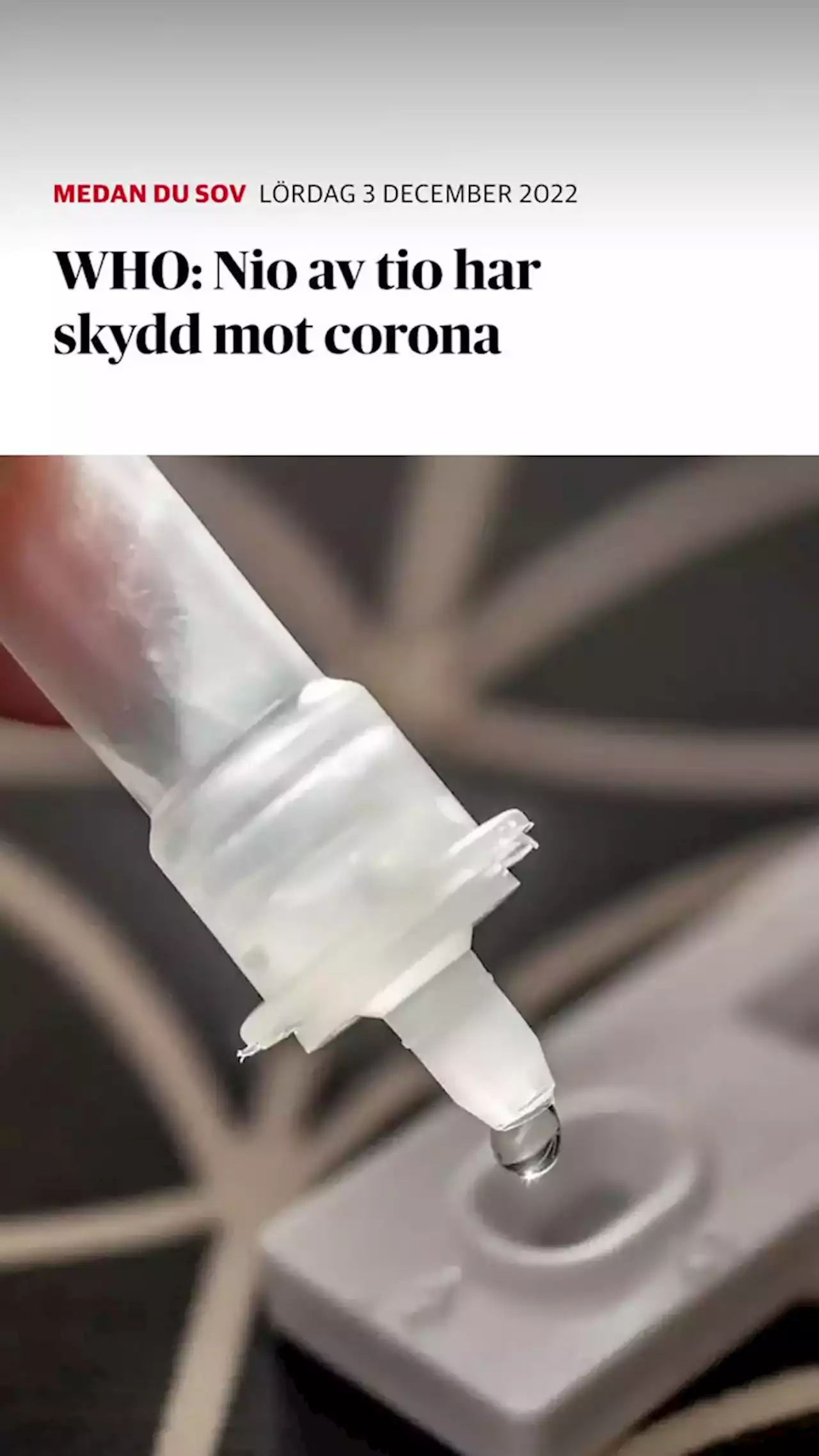 WHO: Nio av tio har skydd mot corona