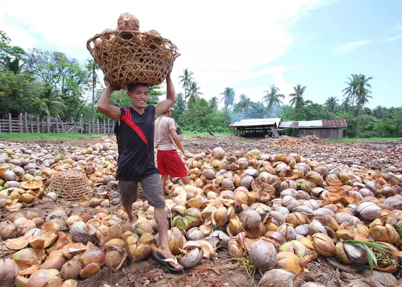 PCA allots P250-M coco levy fund for Region 11