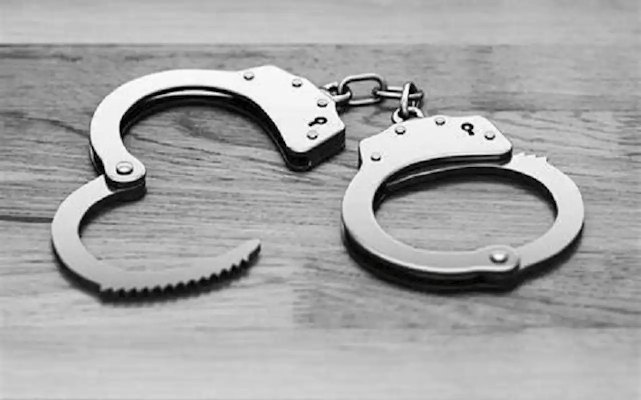 KZN man sentenced to two terms of life imprisonment for raping two children