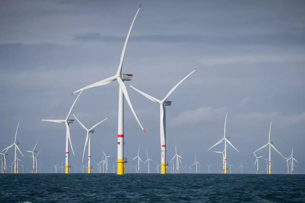 Pyrénées-Orientales : le projet d'éoliennes flottantes au large de la Méditerranée fait débat à Canet-en-Roussillon