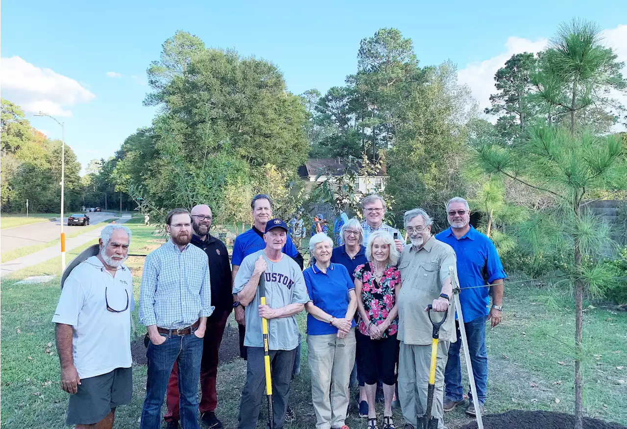 Kingwood’s ‘Livable Forest’ receiving a makeover after 50 years of disease, hurricanes, and tornadoes