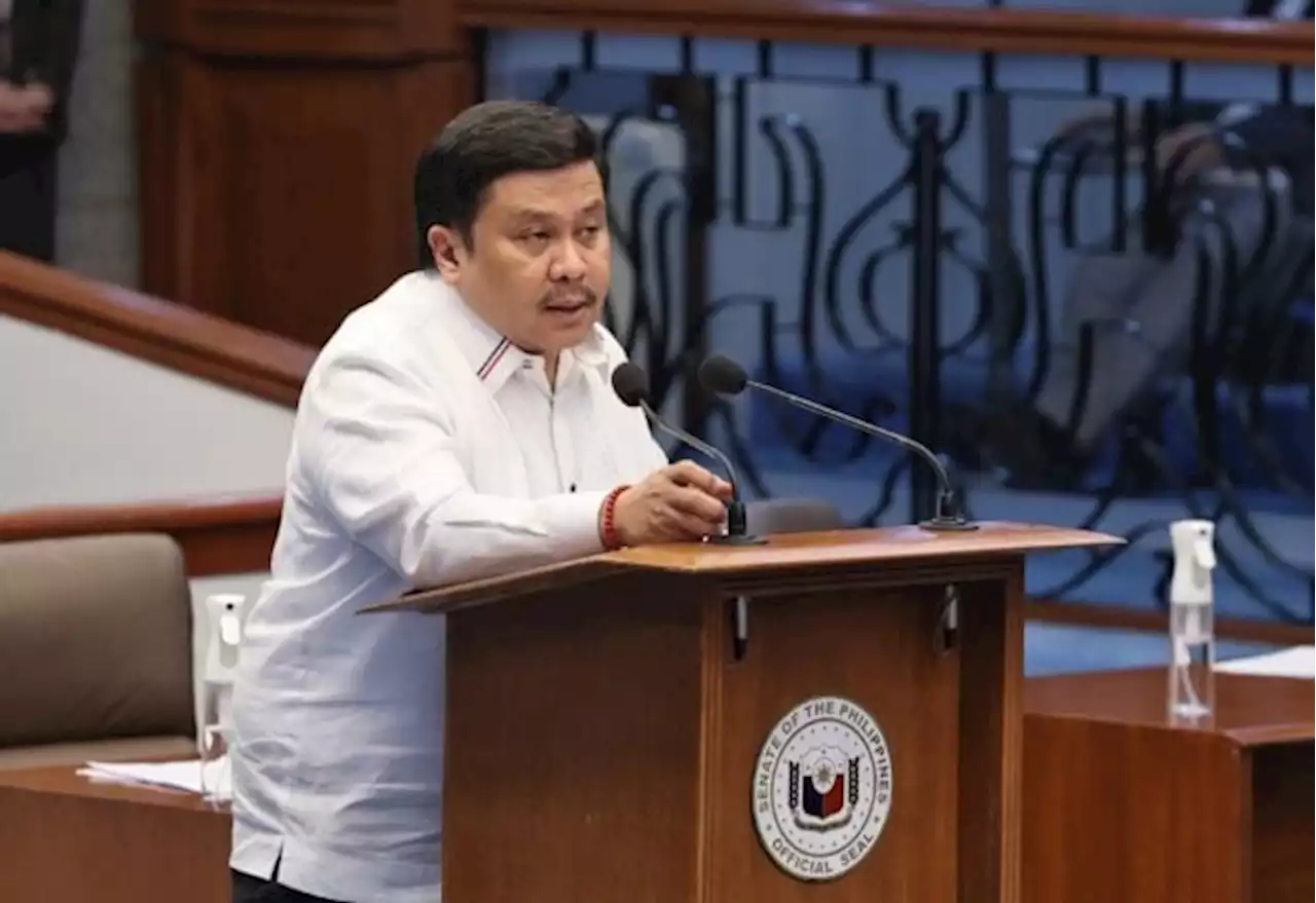 Jinggoy Estrada wants further scrutiny of Maharlika fund