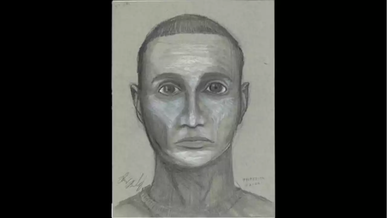 See the sketch: Forensic drawing released after July home invasion that led to sexual assault