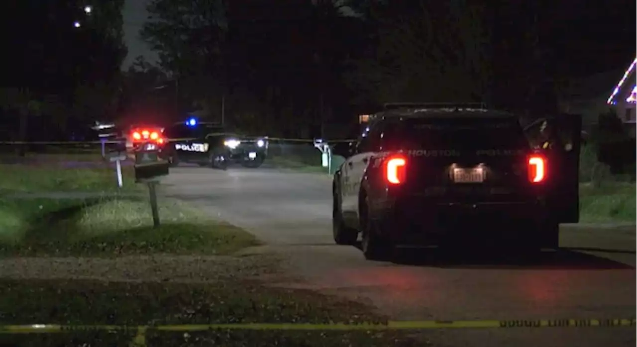 Woman shot outside her NE Houston home in drive-by shooting, police say